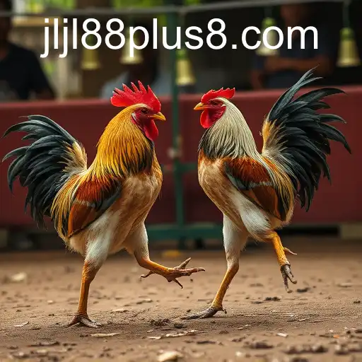 Exploring the Rise of Online Sabong with Jljl88 Plus